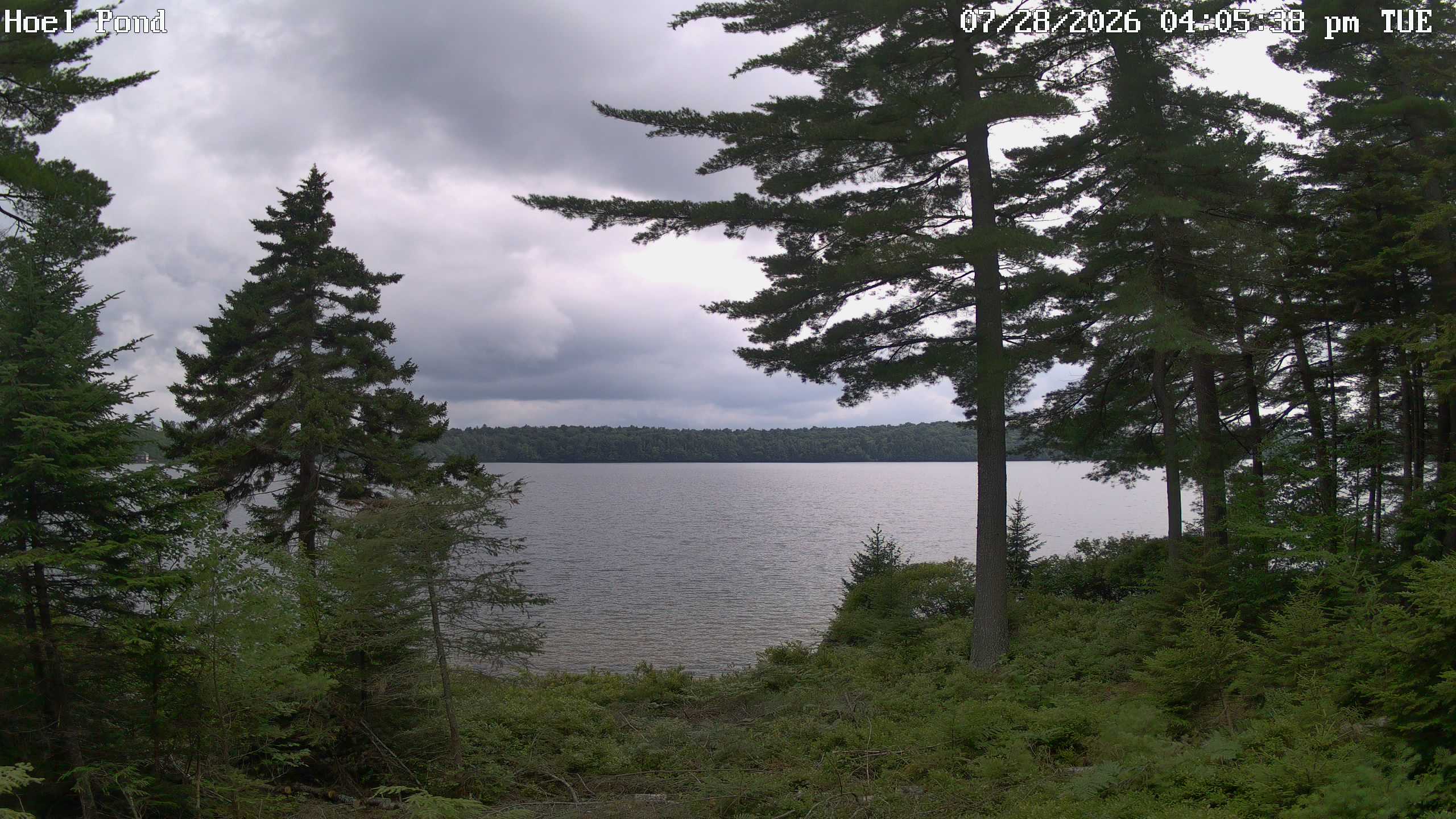 Hoel Pond Webcam view - Click on photo for HD.