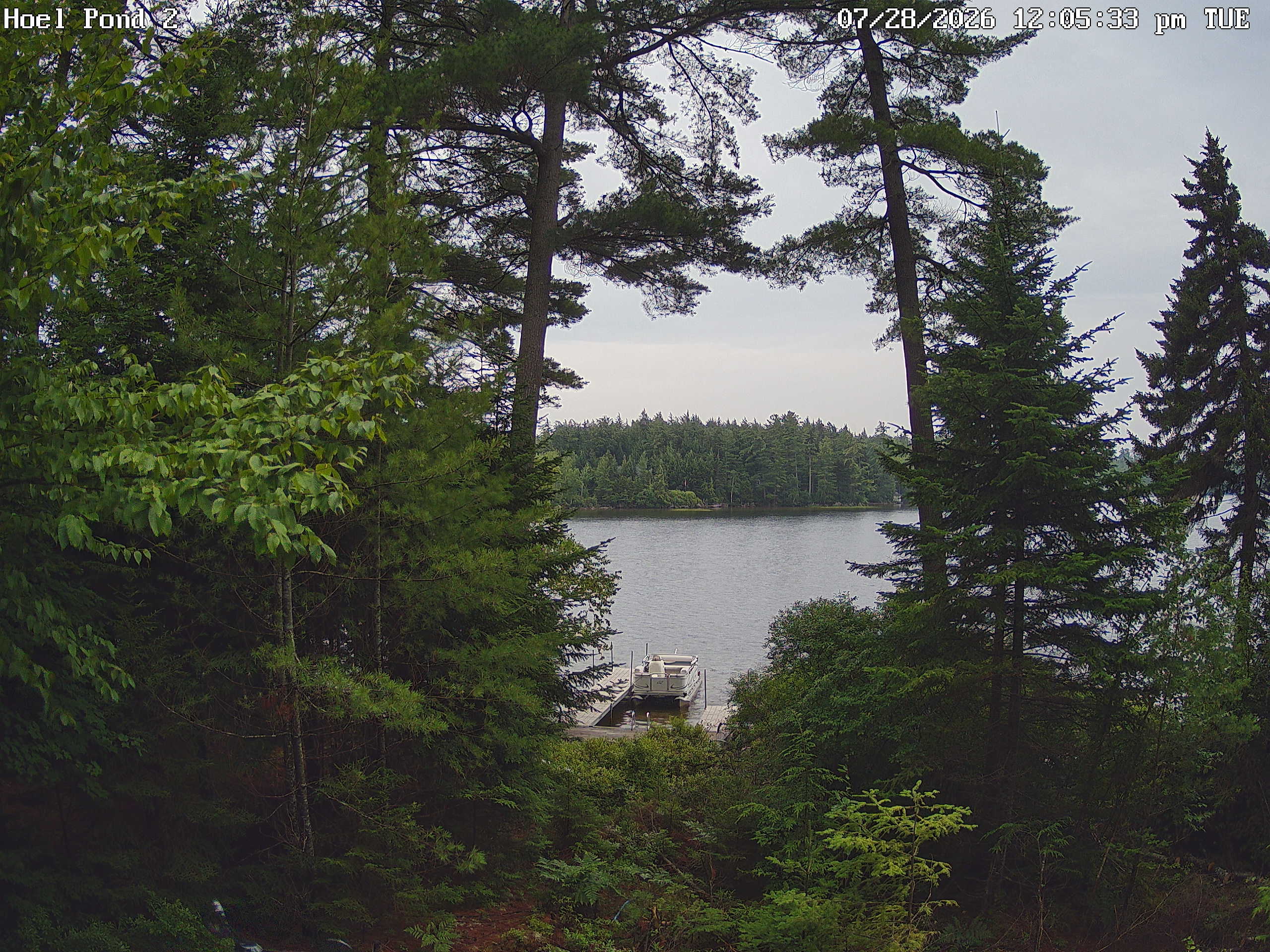 Camera #2 View of Hoel Pond - Click on photo for HD.