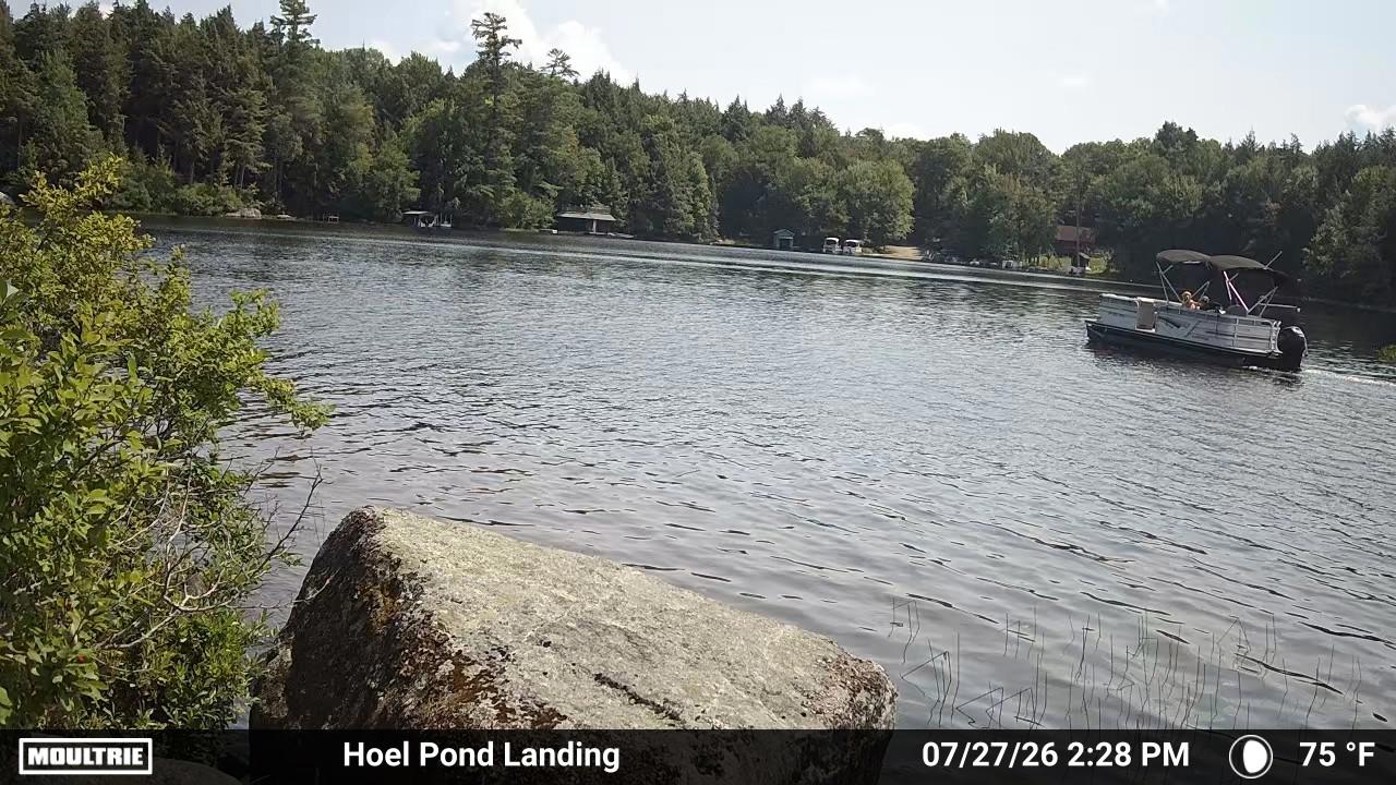 Camera #3 View of Hoel Pond - Click on photo for HD.